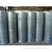 galvanized wire mesh bird screen